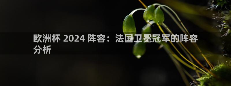 欧洲杯买球怎么买|欧洲杯 2024 阵容：法国卫冕冠军的阵容
分析