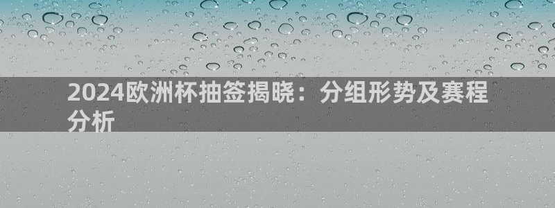 欧洲杯买球网|2024欧洲杯抽签揭晓：分组形势及赛程
分析