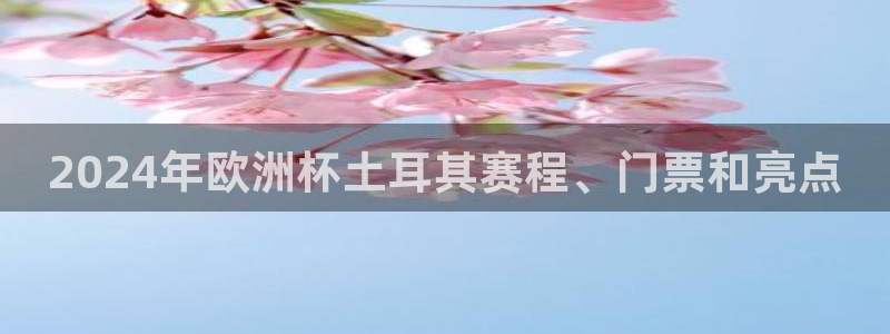 欧洲杯投注官方网站入口|2024年欧洲杯土耳其赛程、门票和亮点