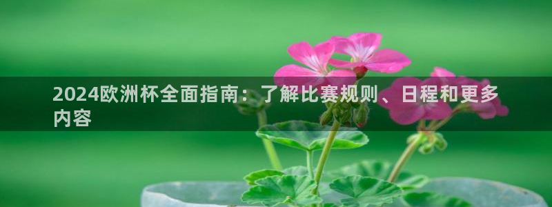 欧洲杯线上买球|2024欧洲杯全面指南：了解比赛规则、日程和更多
内容