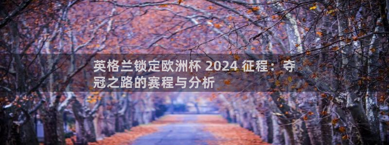 欧洲杯押注入口|英格兰锁定欧洲杯 2024 征程：夺
冠之路的赛程与分析