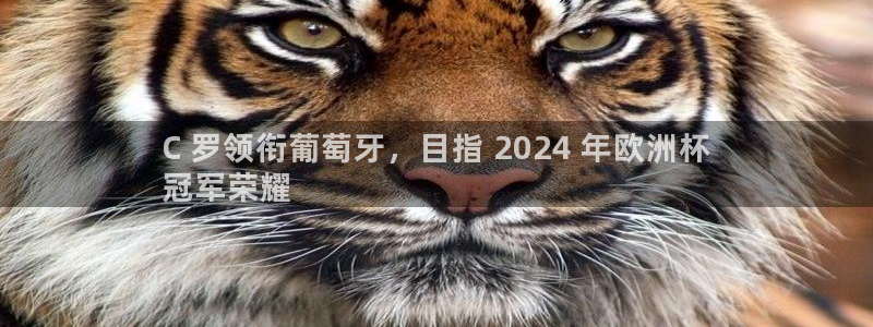 欧洲杯投注在哪找网址|C 罗领衔葡萄牙，目指 2024 年欧洲杯
冠军荣耀