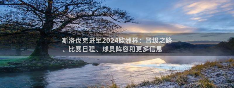 斯洛伐克进军2024欧洲杯：晋级之路
、比赛日程、球员阵容和更多信息