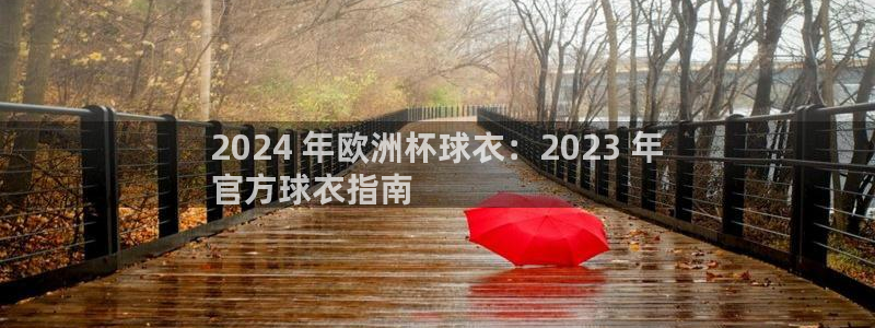 买欧洲杯的竞猜在那个app|2024 年欧洲杯球衣：2023 年
官方球衣指南